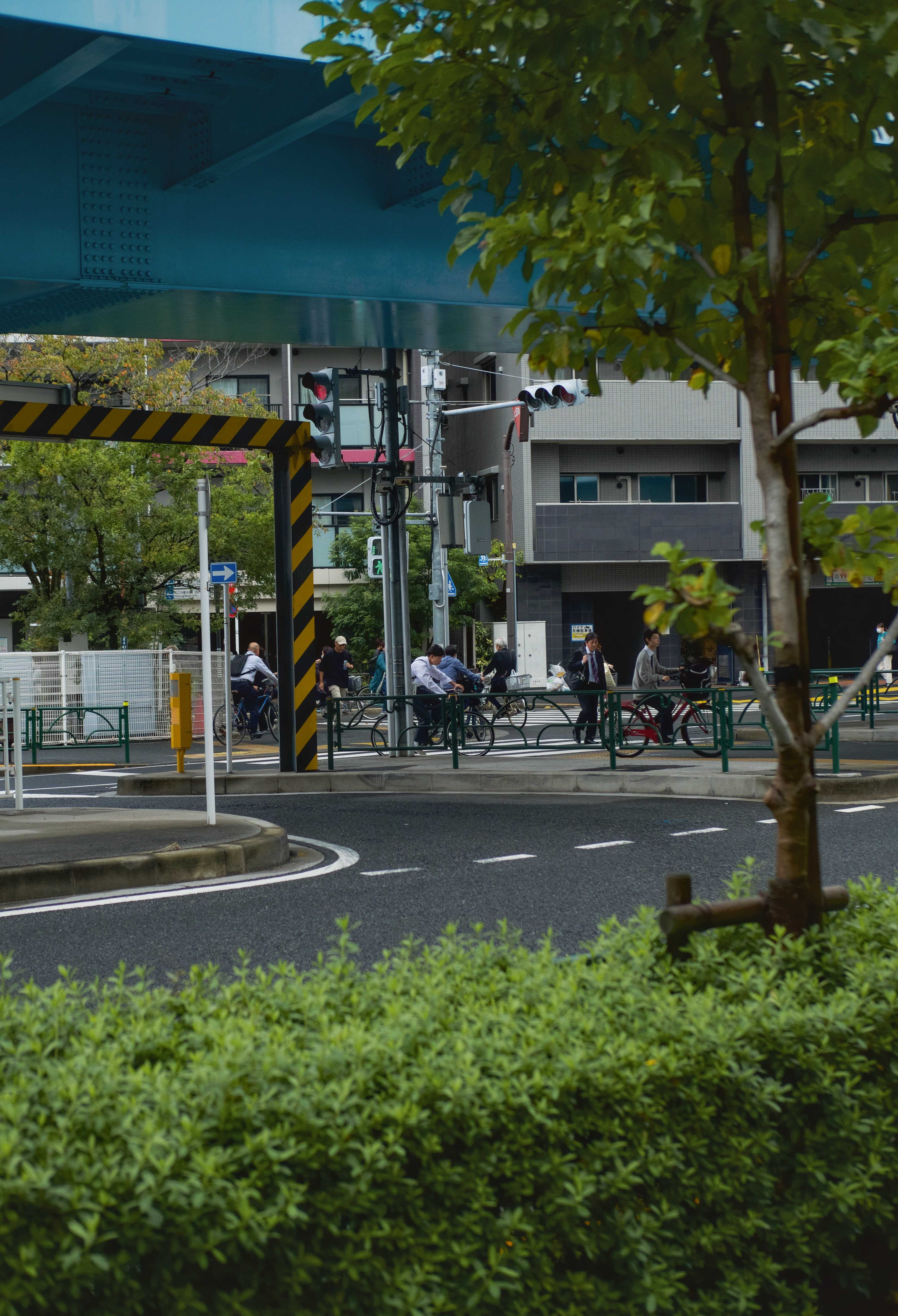 10-shinkoiwa-intersection