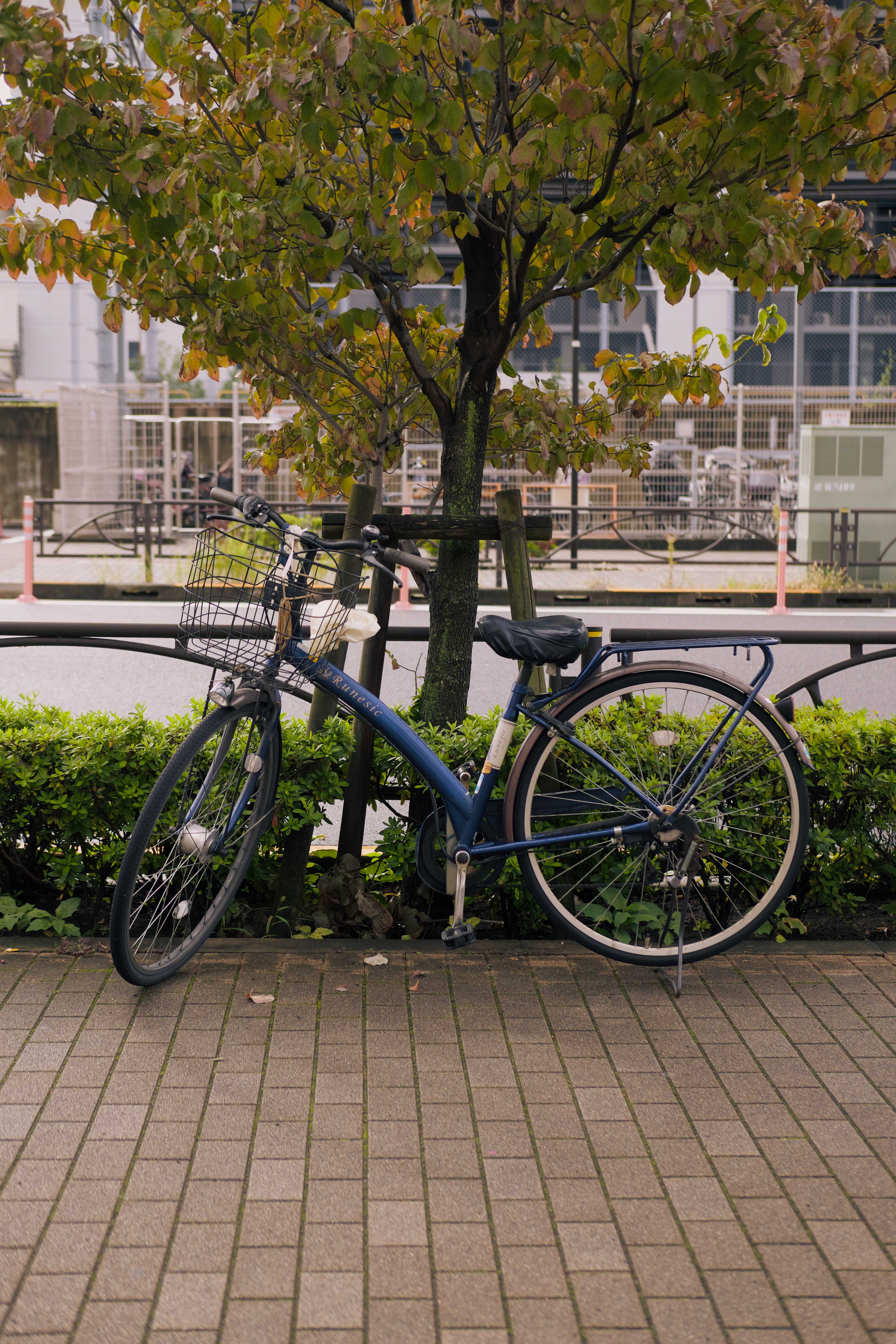 10-shinkoiwa-bicycle